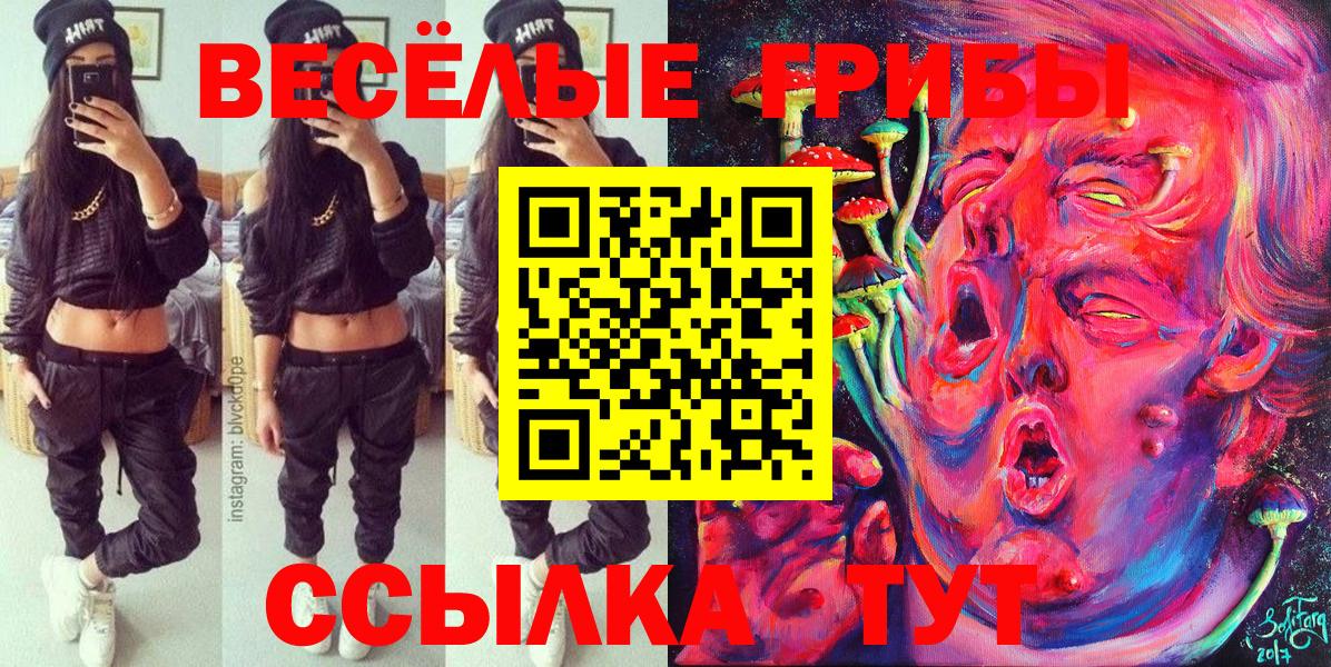 Псилоцибиновые грибы Psilocybine cubensis Октябрьский